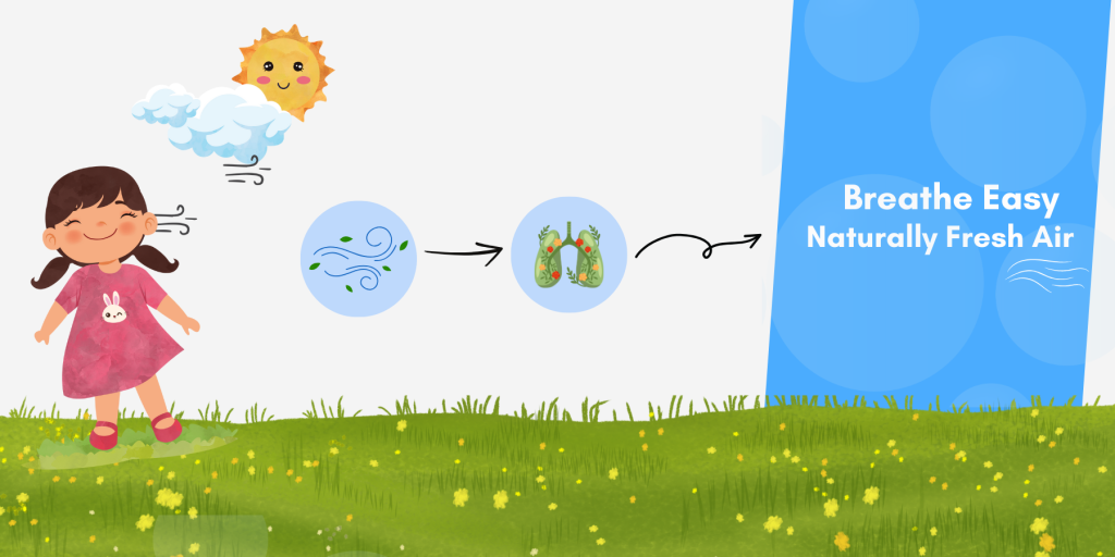 Keep the Air Fresh Without Strong Sprays