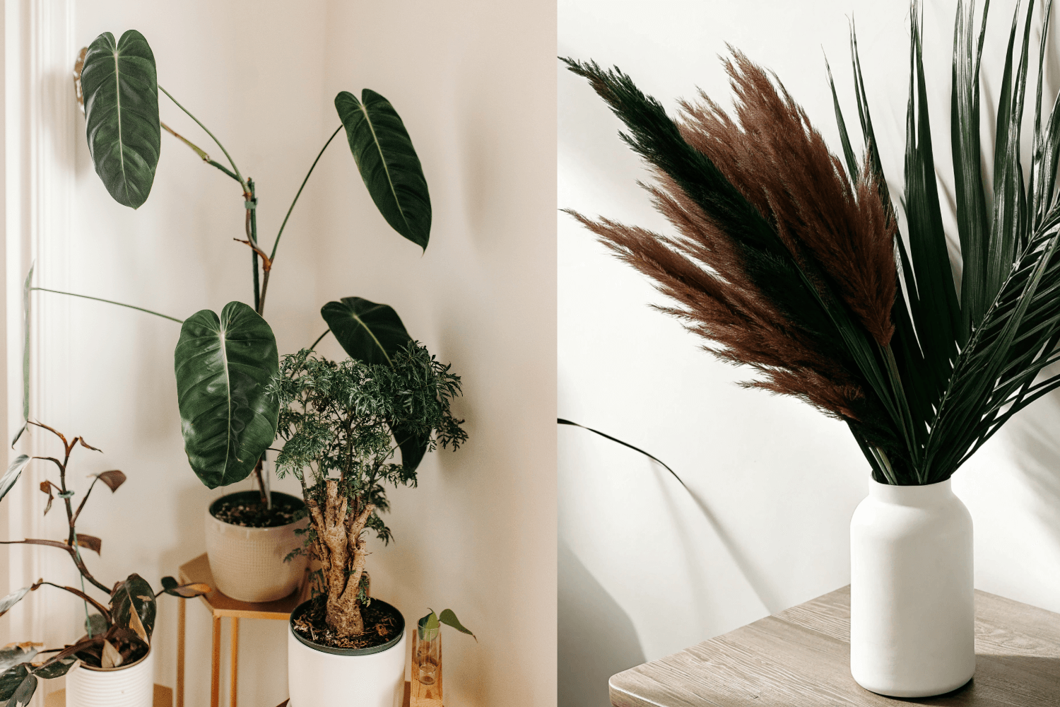Cover - Real Vs Artificial Plants