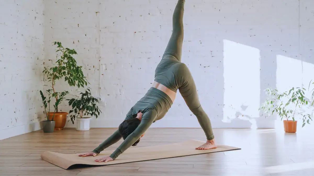 Exercise Physiologist