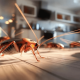 pest control services in Melbourne