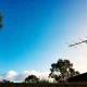 A clear bright-blue Australian sky seen over eucalyptus tree tops with a Hills hoist clothesline silhouetted in the lower frame and soft white clouds on the horizon.