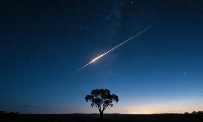 A silhouetted gum tree against a starry night sky over the Australian outback, with one bright straight satellite trail crossing the sky like a thin line of reflected sunlight.