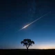 A silhouetted gum tree against a starry night sky over the Australian outback, with one bright straight satellite trail crossing the sky like a thin line of reflected sunlight.