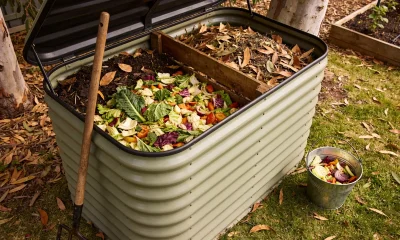 An open compost bin in a leafy Australian backyard layered with vegetable scraps, dry leaves and garden clippings, a garden fork leaning on the bin and a small bucket of scraps on the grass.