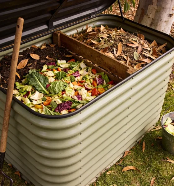 An open compost bin in a leafy Australian backyard layered with vegetable scraps, dry leaves and garden clippings, a garden fork leaning on the bin and a small bucket of scraps on the grass.