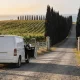 Plain white van parked on a gravel vineyard driveway with a door open, a windbreak of cypress trees and vine rows rising behind it and a soft glimpse of the bay beyond