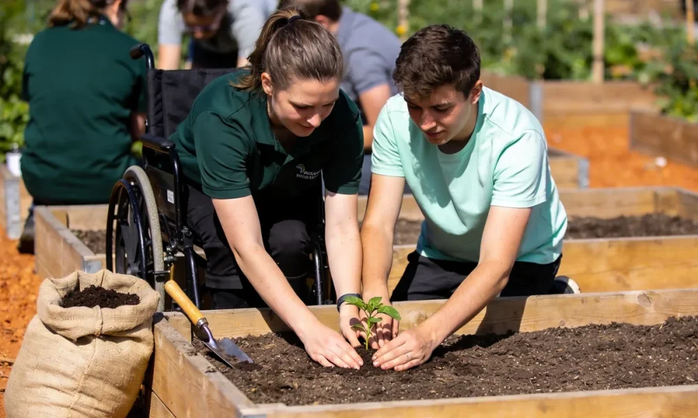 A support worker guiding a young adult's hands as they plant a seedling in a raised garden bed at a sunny Melbourne community garden.