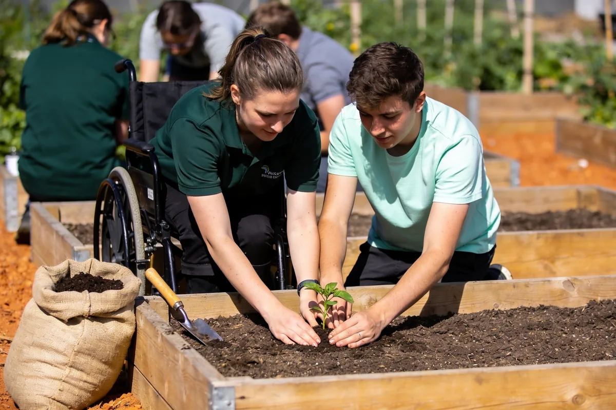 A support worker guiding a young adult's hands as they plant a seedling in a raised garden bed at a sunny Melbourne community garden.