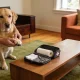 person checking a dog's paw beside an open pet first-aid kit