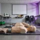 Community training room set up for a first aid course, with a row of CPR manikins on floor mats, folded blankets and a training defibrillator on a table below a blank projector screen