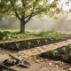 A neat Australian backyard vegetable and flower garden in early spring with freshly turned dark beds edged with light mulch, small seedlings showing, and gardening gloves and a trowel resting on the path.